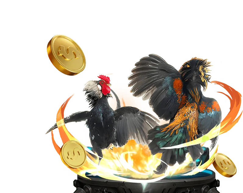 Hình ảnh khu vực FAQ rik88 casino