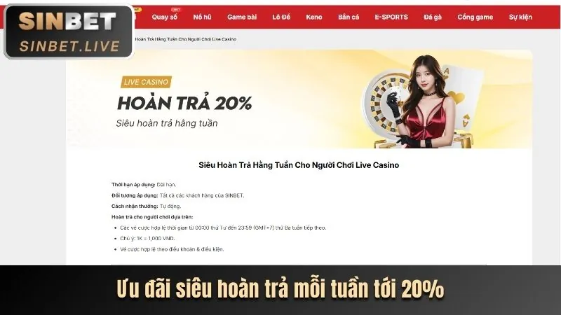 Các loại cookie được rik88 casino sử dụng